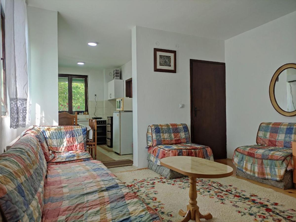 Cozy House Cvetkovic Villa Nis Ngoại thất bức ảnh