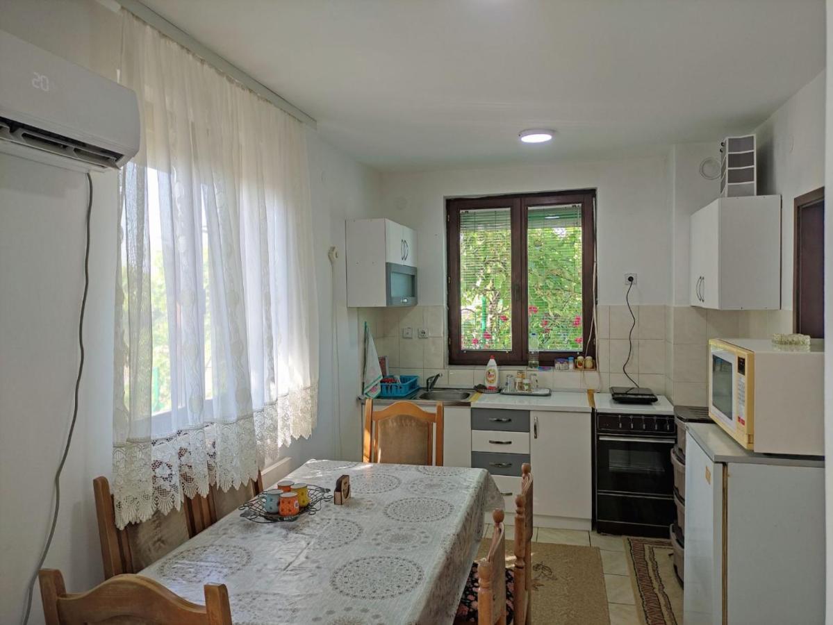 Cozy House Cvetkovic Villa Nis Ngoại thất bức ảnh